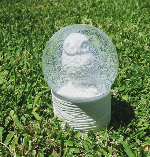 Screen Shot 2018-01-04 at 11.23.00 AM