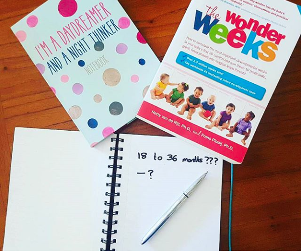 Screen Shot 2018-02-10 at 1.48.41 pm